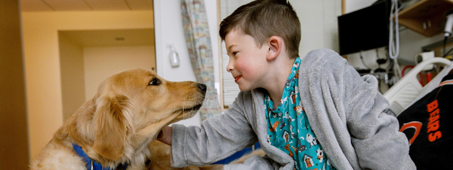Davis, an OHSU Doernbecher Children's Hospital service dog, greeting a boy in a patient room.