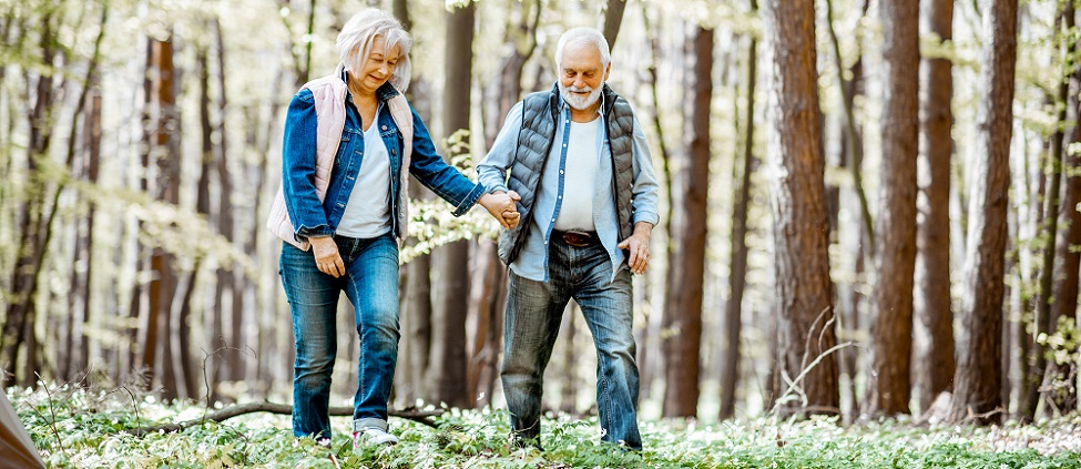 Two people taking a walk in the woods