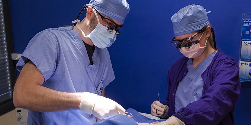 A surgeon and medical assistant perform a surgery