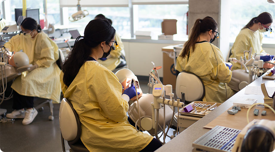 Second-year dental students at work in the OHSU sim lab