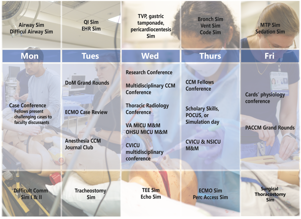 Weekly conference calendar