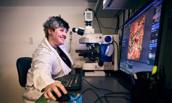 A cancer researcher looks at a sample with a microscope.