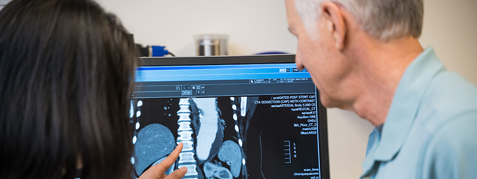 OHSU vascular surgeon Enjae Jung points to a computer monitor showing a CT scan of a spine while another person looks on.