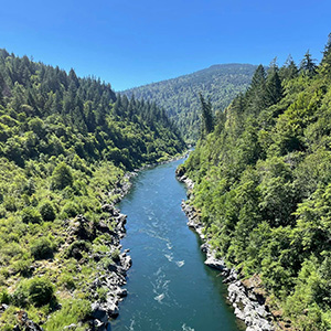  An overhead view of Klamath river with trees lining both sides.