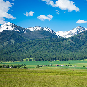 Snow-capped Wallowa Mountains with a green field in the foreground.]