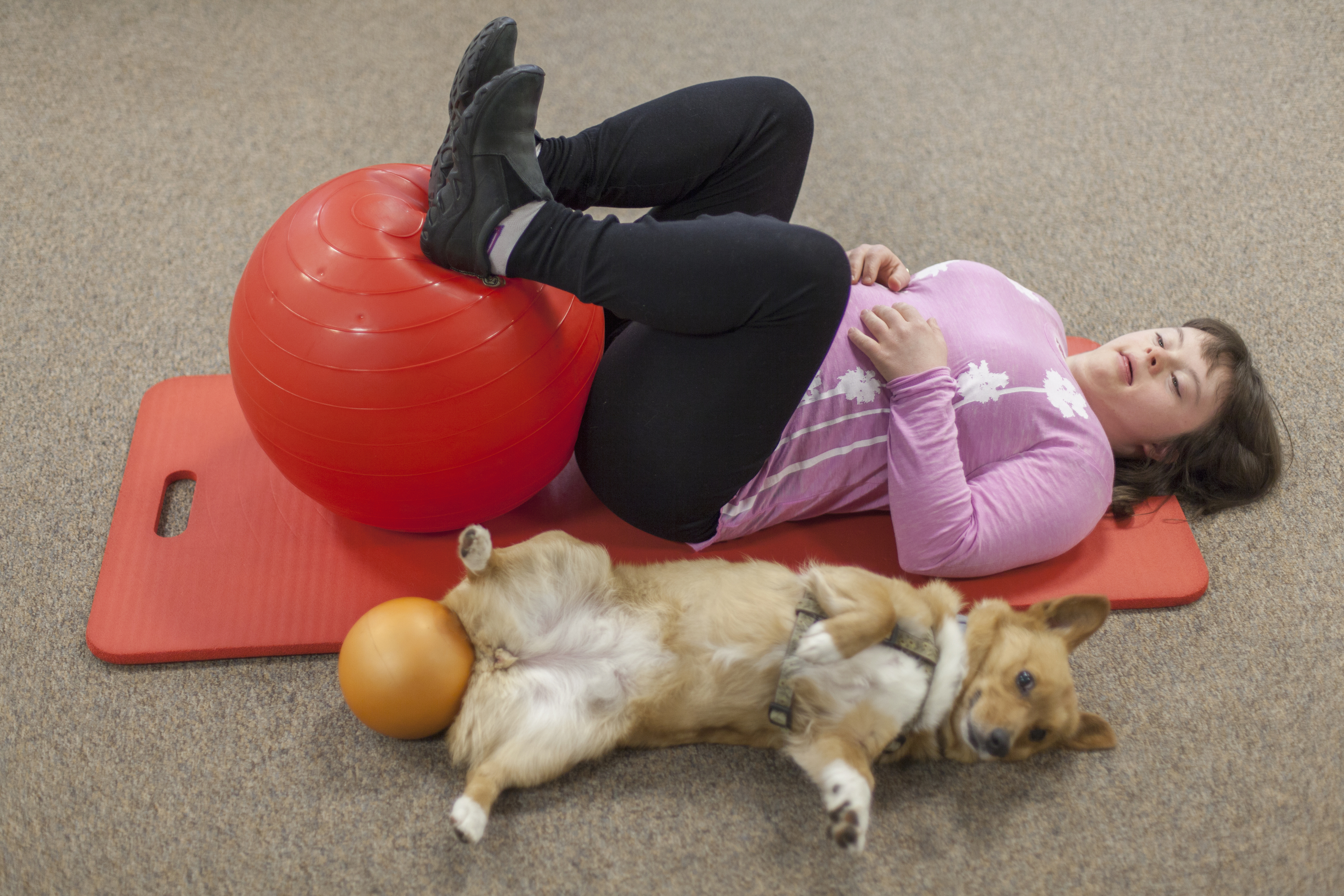 Teen and dog using swiss balls to do stretches