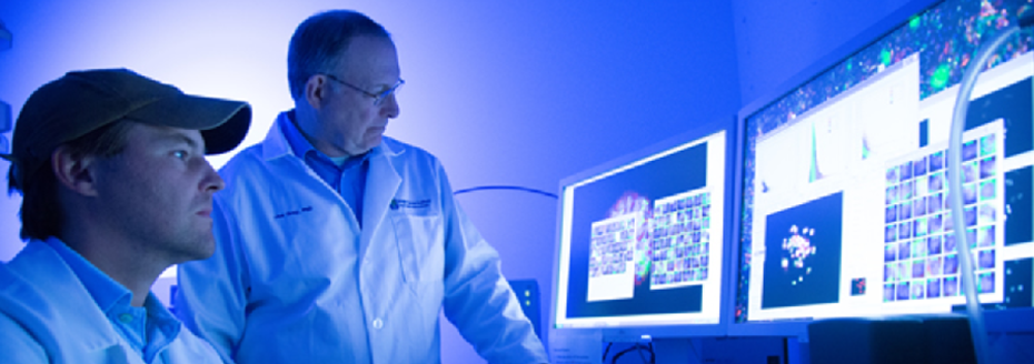 Two providers staring at image scans on two computer monitors.