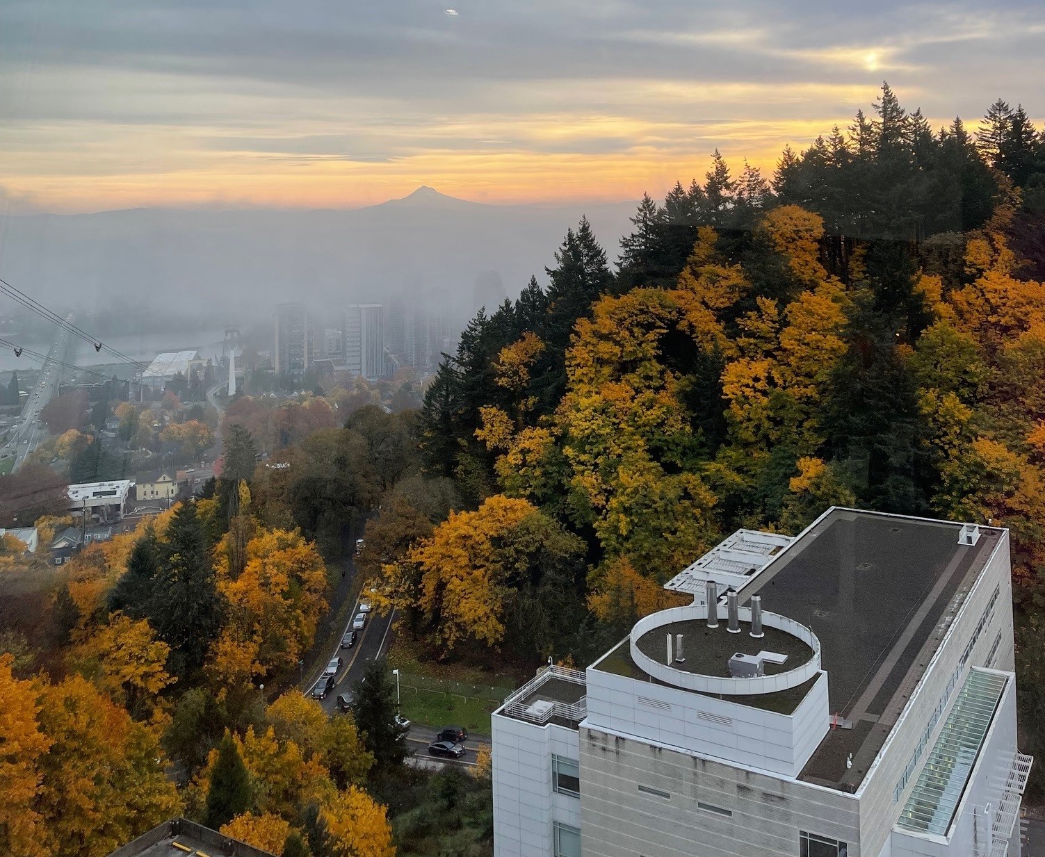 OHSU Fall from the Tram 2023-Kaya