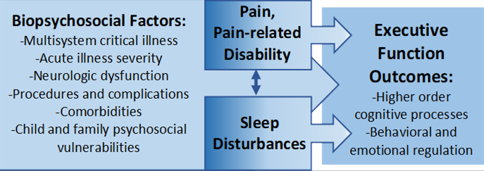 SPARK-PICU Conceptual Model