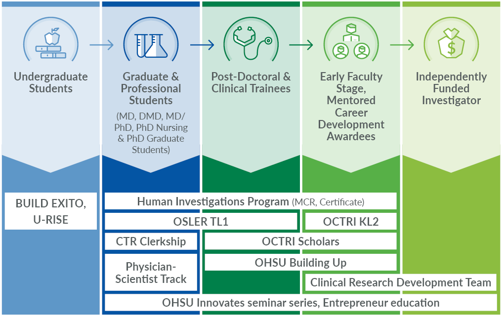 Flow diagram illustrating OCTRI's overlapping programs to support researchers from undergraduate to graduate and professional ro post doctoral and clinical trainees to early stage faculty to independently funded investigators. All programs shown in this diagram are detailed in text on the page.