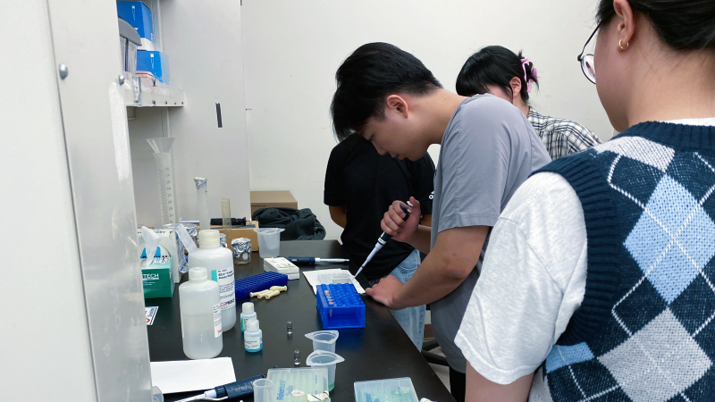 Student learns to use a pipette.