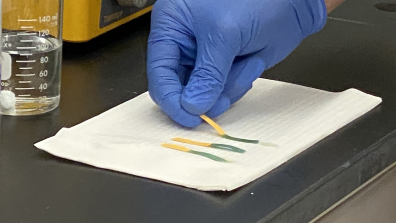 Gloved hand places a ph strip on a paper towel