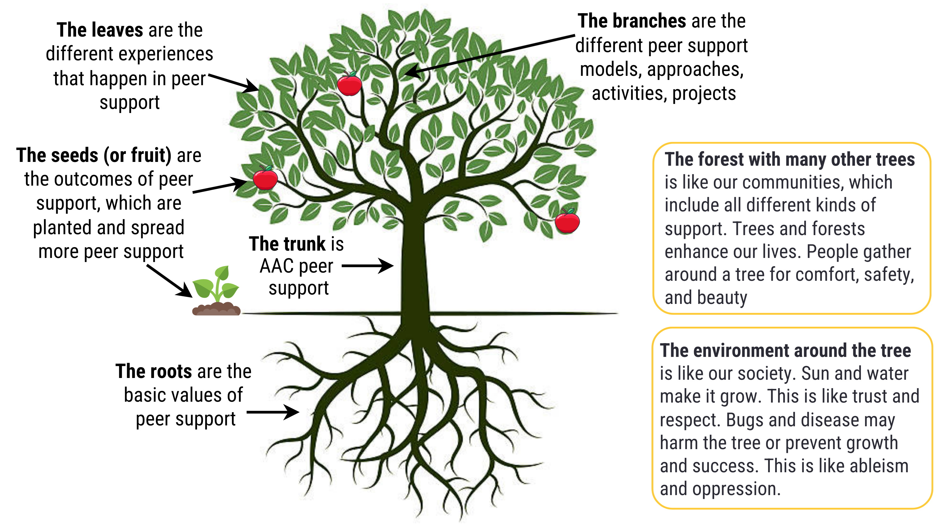 Peer support tree graphic