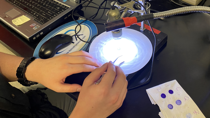 UV light shines at a dot positioned under a camera.