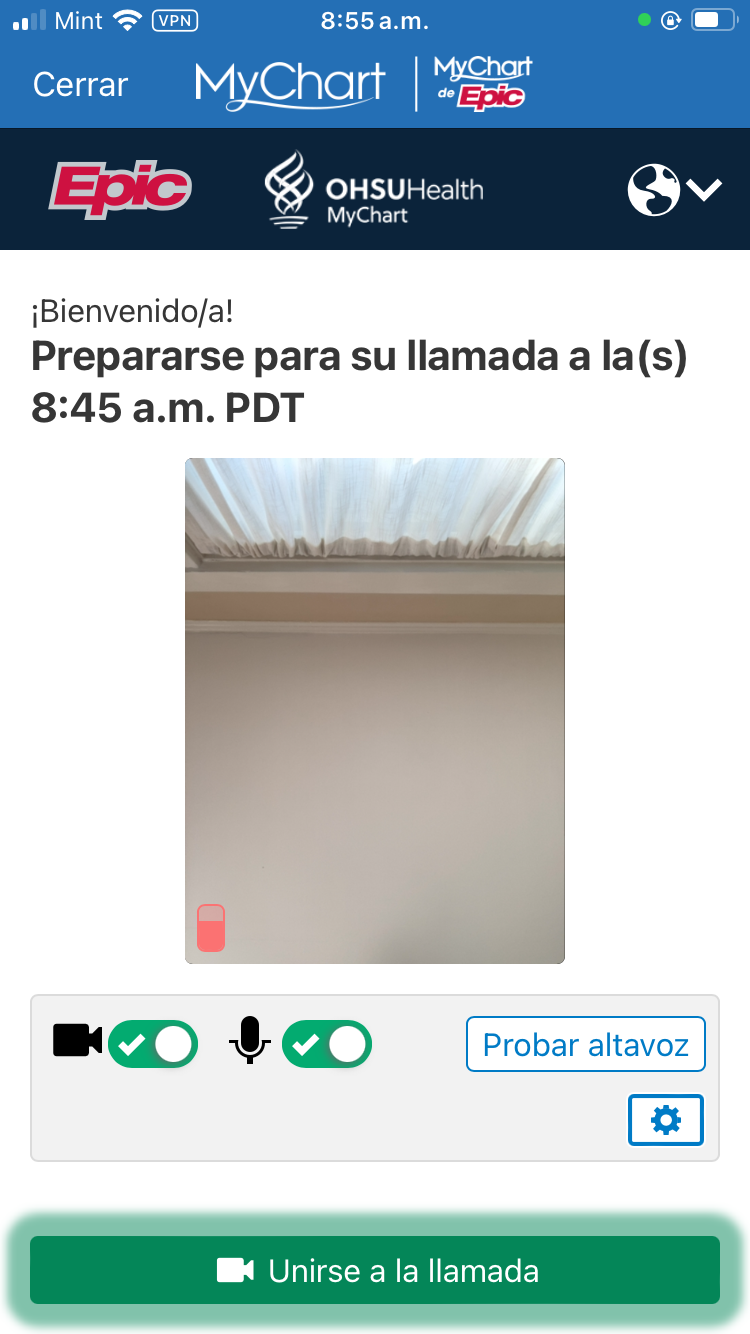 6. Cuando su profesional médico/a ingrese, toque "Unirse a la llamada" para comenzar la consulta.