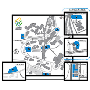 Map preview of daily online parking. Click to expand.