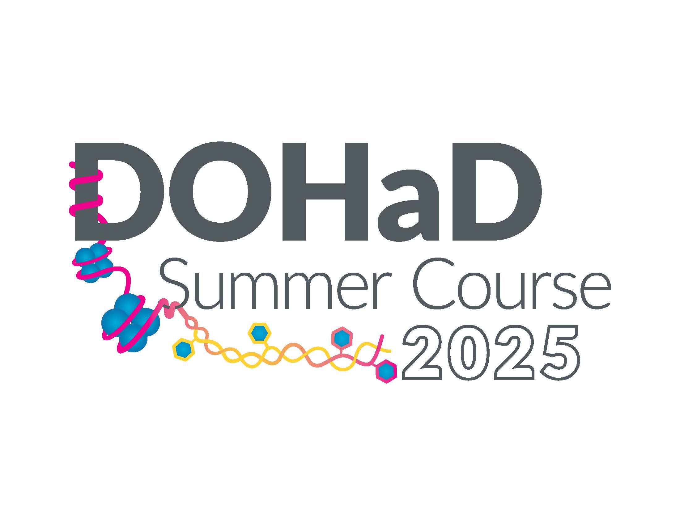 Graphic for DOHaD Summer Course 2025