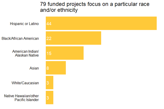 Graphic showing 79 projects focus on a particular race or ethnicity