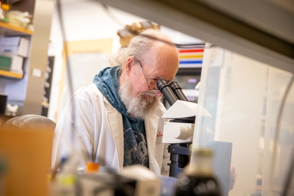 A scientist wearing a white lab coat and blue sweatshirt underneath leans forward to peer into a microscope.