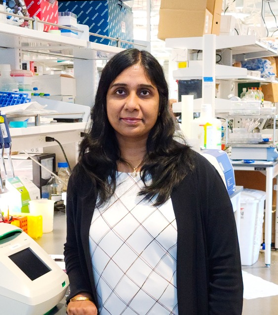 Headshot photo of Anupriya Agarwal, Ph.D.