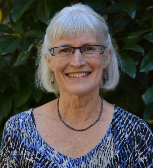 Headshot photo of Deborah A. Finn, Ph.D.
