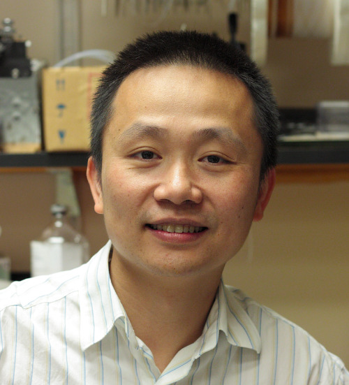 Headshot photo of Haining Zhong, Ph.D.