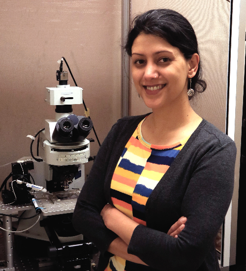 Headshot photo of Anusha Mishra, Ph.D.