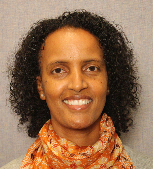 Headshot photo of Ruth S. Tadesse, RN, M.S., Ph.D.