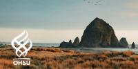 Haystack Rock at Cannon Beach, Oregon with birds flying nearby